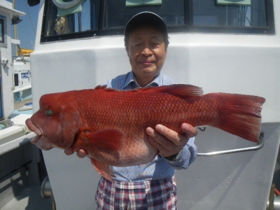 磯部釣船 直栄丸 釣果