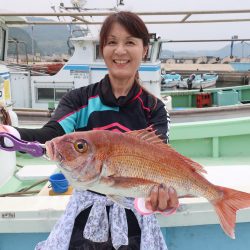 はらまる 釣果