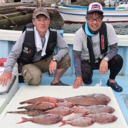 はらまる 釣果