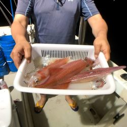 オーシャンズ　京都 釣果