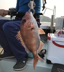 さぶろう丸 釣果