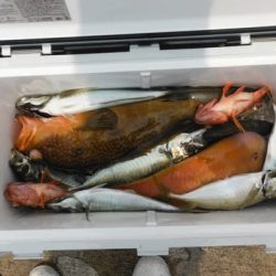 開進丸 釣果