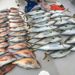 ミタチ丸 釣果