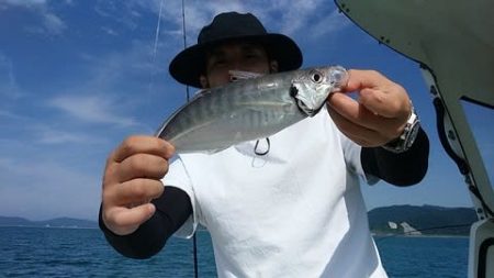 開進丸 釣果