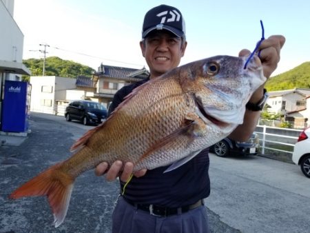 桑田観光 釣果