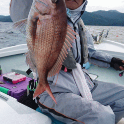 遊漁船ブルーウッズ 釣果