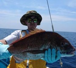 はじめ丸 釣果