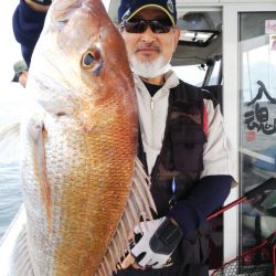 タイラバ遊漁船 ワンピース 釣果