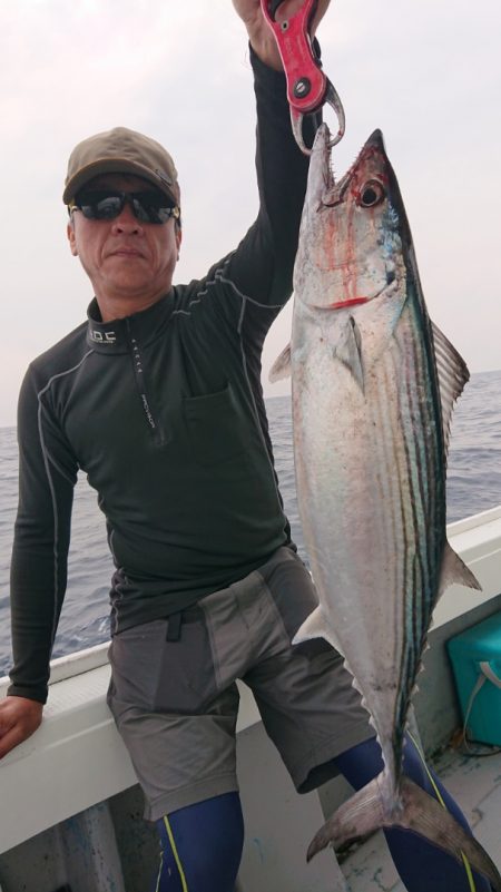 だて丸 釣果