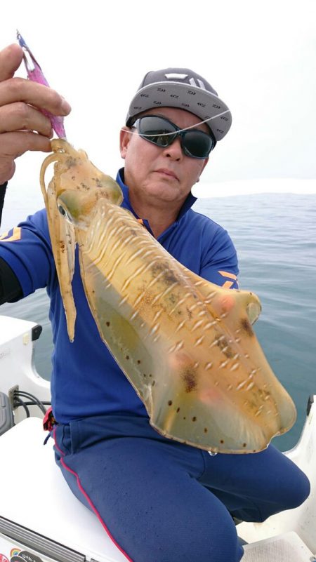 きずなまりん 釣果