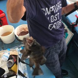 ヤザワ渡船 釣果