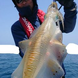 きずなまりん 釣果