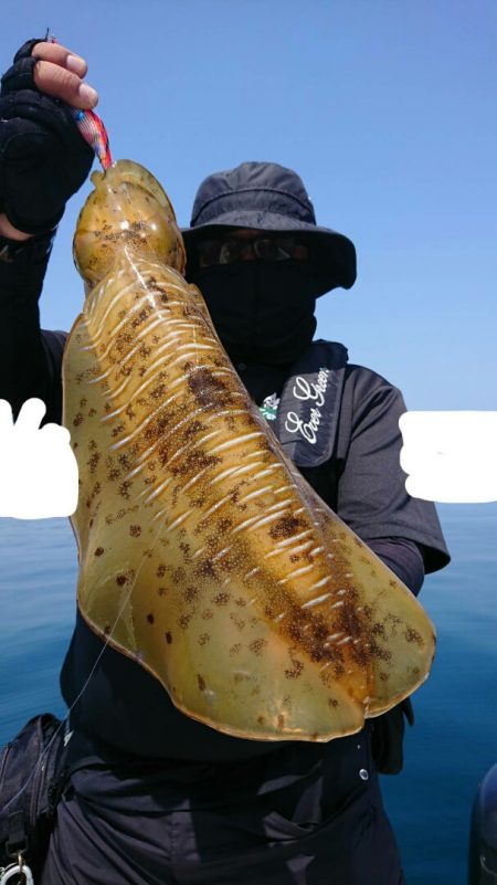 きずなまりん 釣果