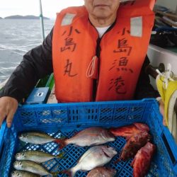 小島丸 釣果