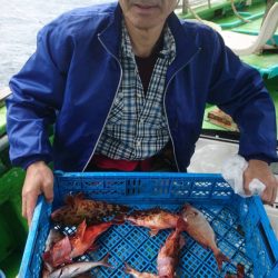 小島丸 釣果