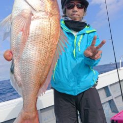 だて丸 釣果