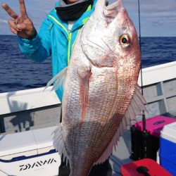 だて丸 釣果