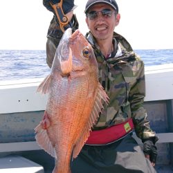 だて丸 釣果