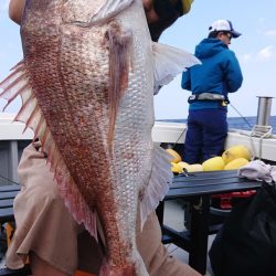 だて丸 釣果