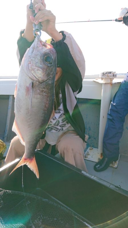 だて丸 釣果