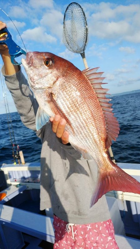 新幸丸 釣果