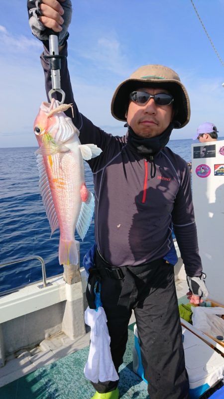 鷹王丸 釣果