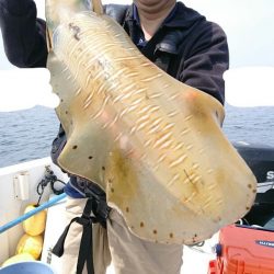 きずなまりん 釣果