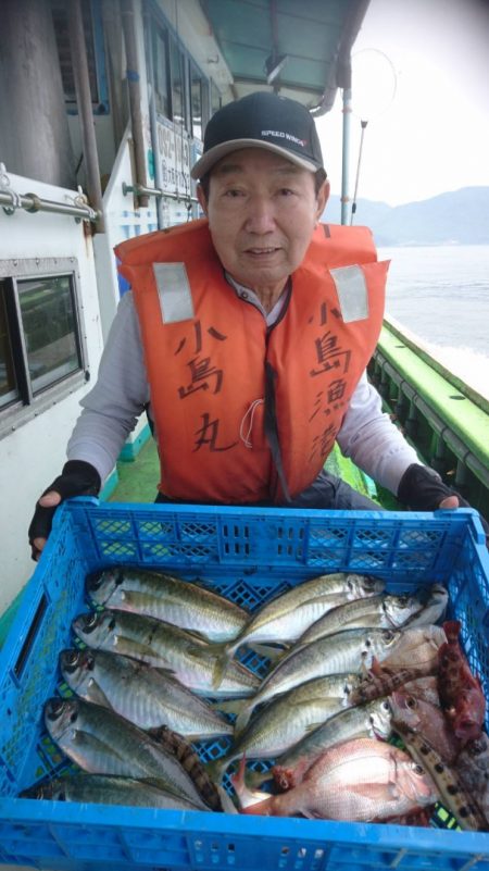 小島丸 釣果