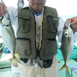 小島丸 釣果