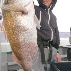 だて丸 釣果