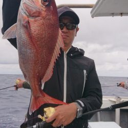 だて丸 釣果