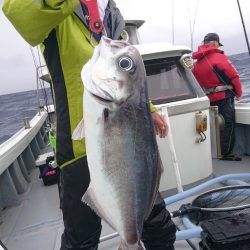 だて丸 釣果