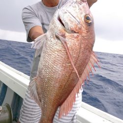 だて丸 釣果