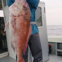 だて丸 釣果