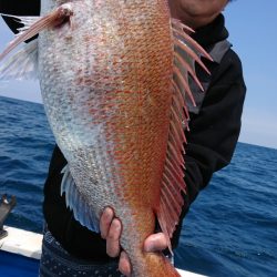 竹宝丸 釣果