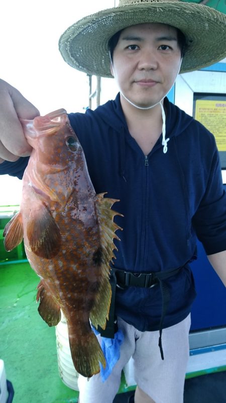 小島丸 釣果