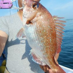 新幸丸 釣果