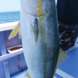 新幸丸 釣果