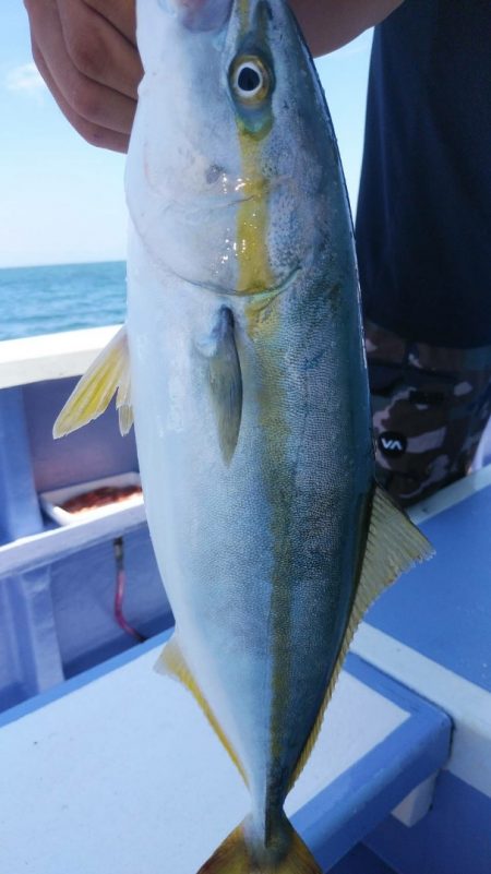 新幸丸 釣果