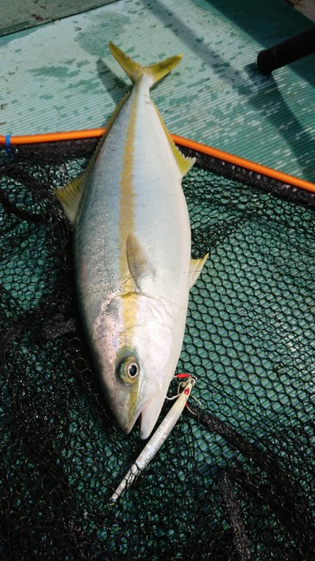 鷹王丸 釣果