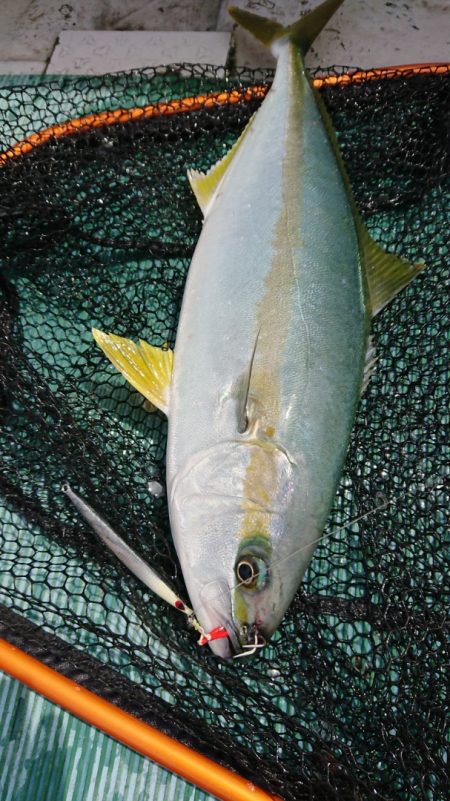 鷹王丸 釣果