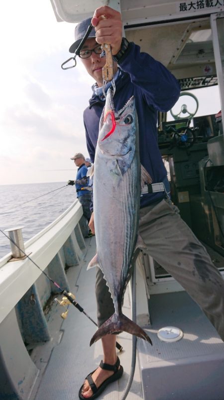 だて丸 釣果