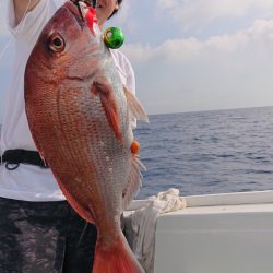 だて丸 釣果