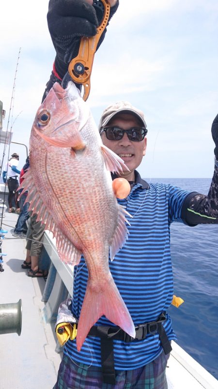 だて丸 釣果