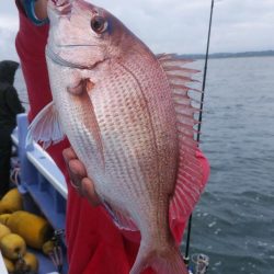 新幸丸 釣果