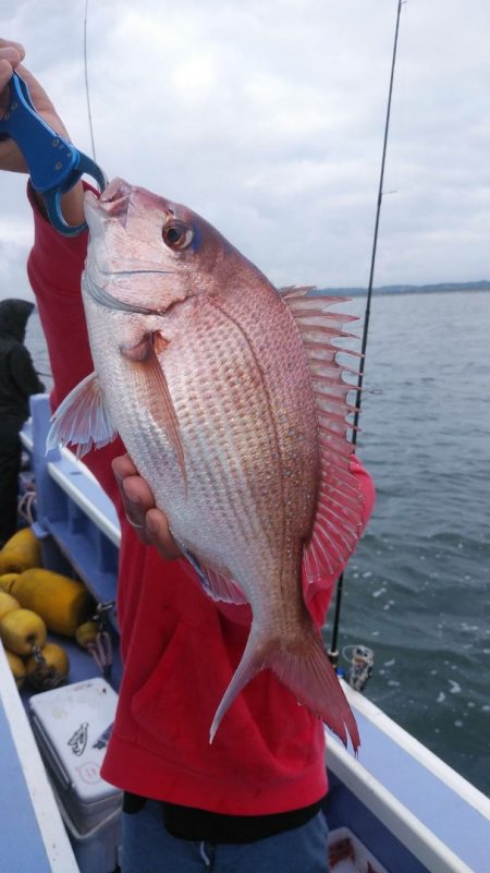 新幸丸 釣果