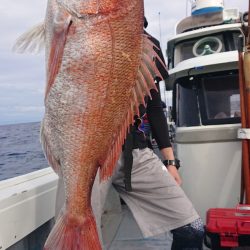 だて丸 釣果