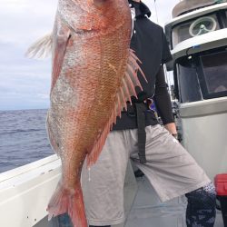 だて丸 釣果