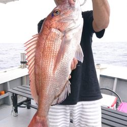 だて丸 釣果