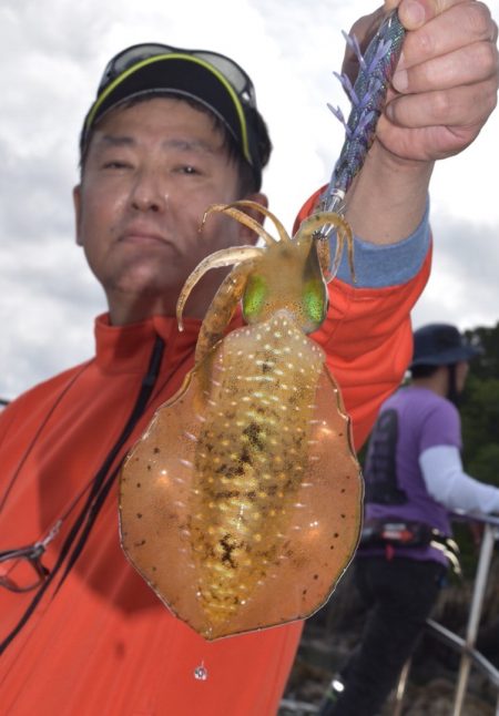 渡船屋たにぐち 釣果